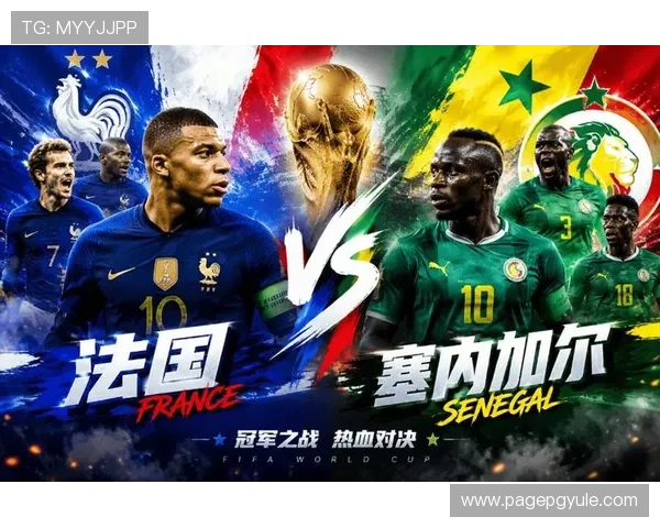 世界杯法国塞内加尔比赛精彩进球集锦分析，带你回顾每个关键瞬间